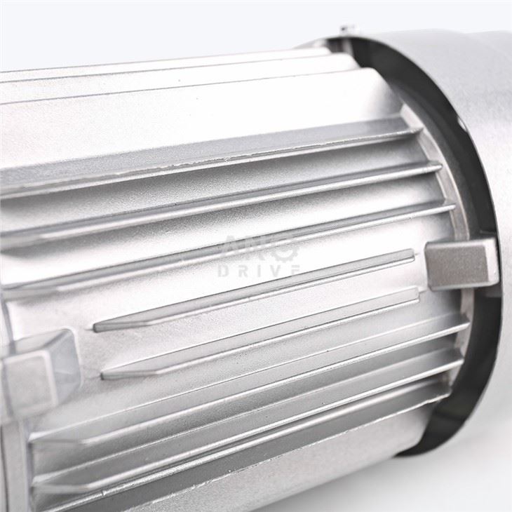 2HP ac Motor