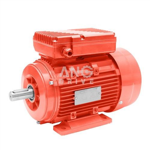 ИЕЦ Елецтриц Енгине